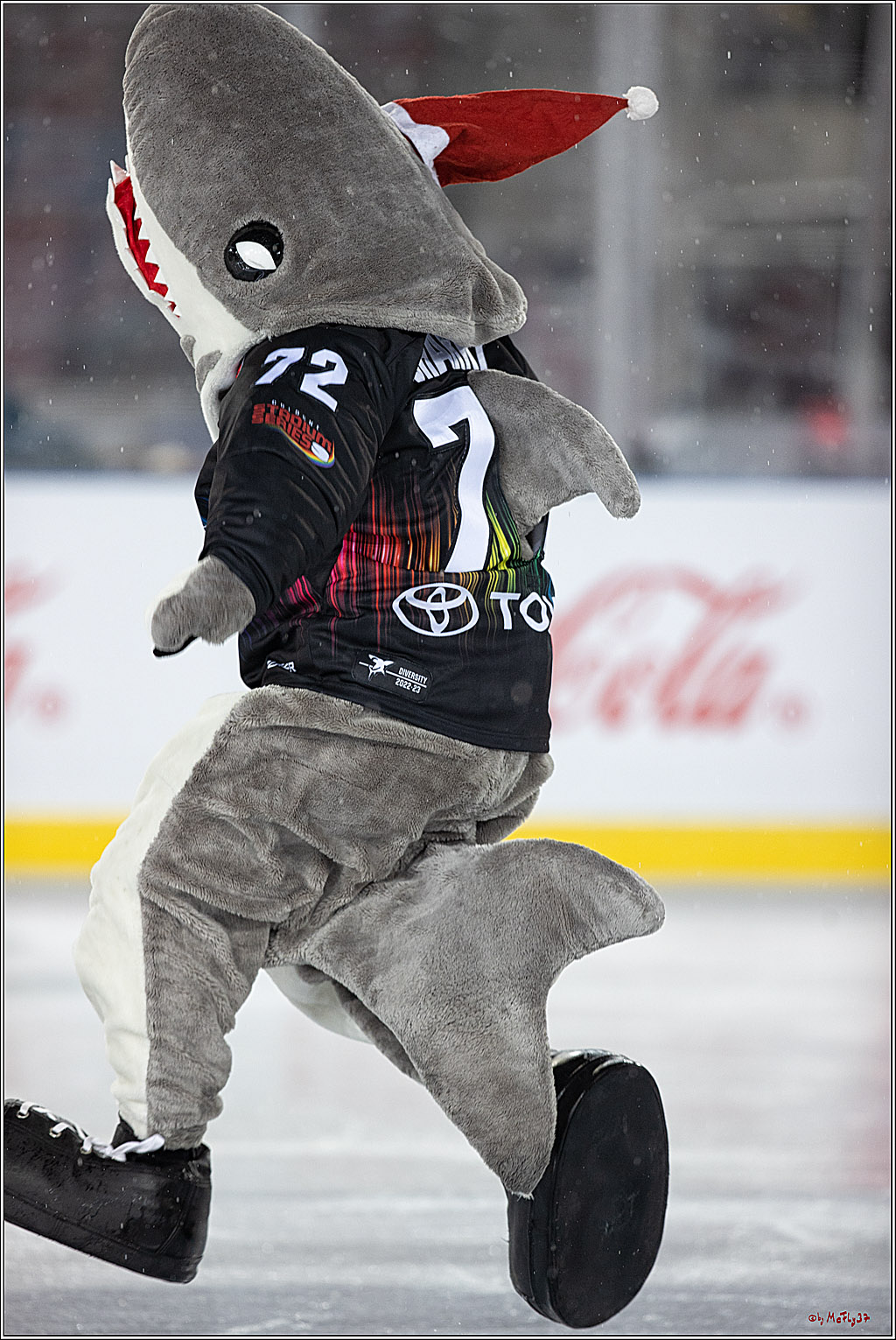 PENNY DEL;  Kölner Haie - Fischtown Pinguins; Köln, 22.12.2022